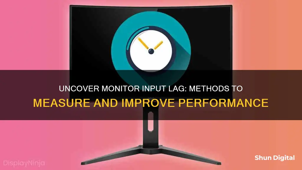 how to find input lag on monitor