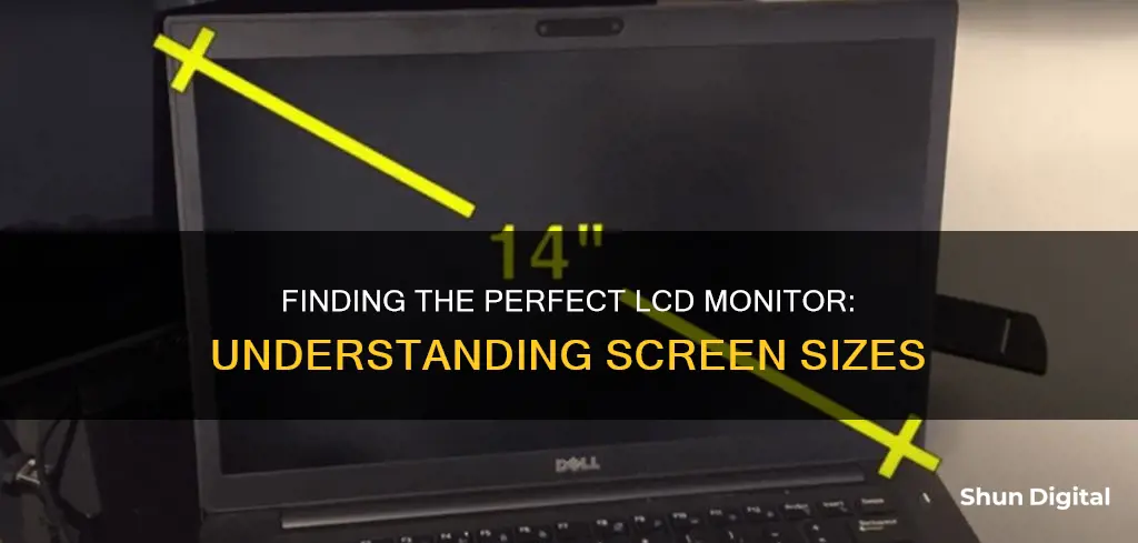 how to find lcd monitor size