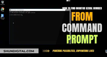 Finding Monitor Serial Numbers: Command Prompt Tricks