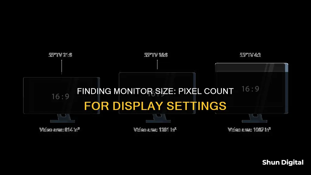 how to find monitor size pixels