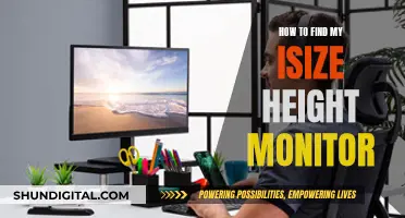 Finding the Right Monitor: Adjusting to Eye-Level