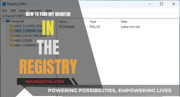 Finding Monitor Information in the Windows Registry