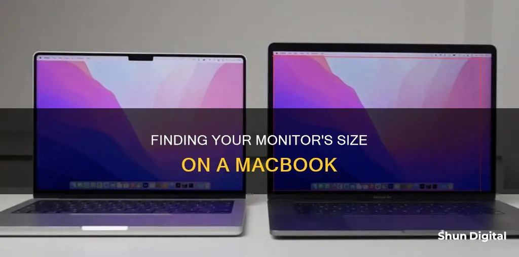 how to find my monitor size macbook