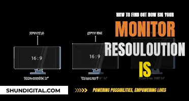 Maximizing Monitor Resolution: Finding Your Screen's True Potential