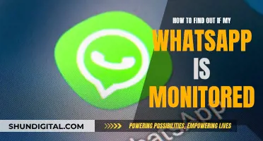 Is My WhatsApp Being Monitored? Here's How to Find Out