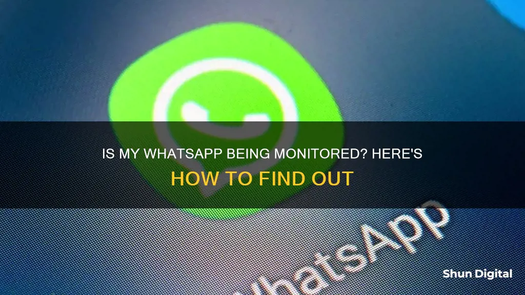 how to find out if my whatsapp is monitored