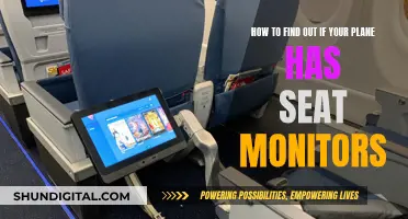 In-Flight Entertainment: Do You Have Seat Monitors?