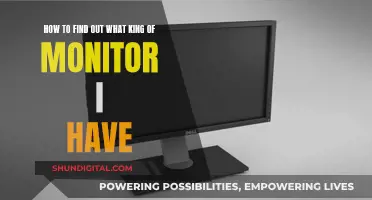 Identifying Your Monitor: A Step-by-Step Guide to Knowing Your Screen