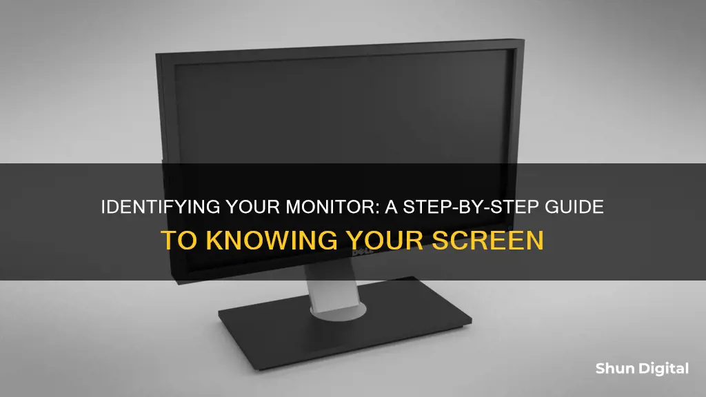 how to find out what king of monitor i have