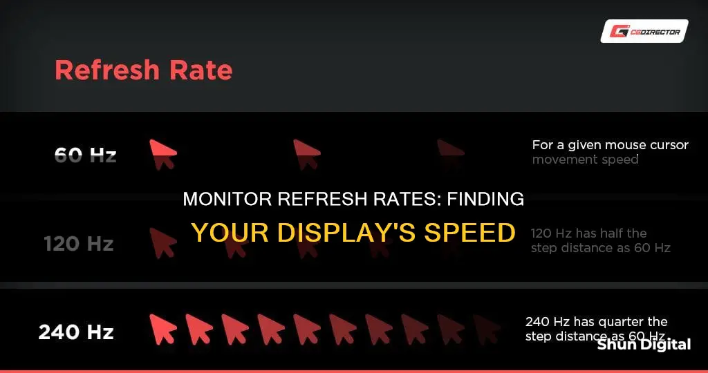 how to find out what mhz is my monitor