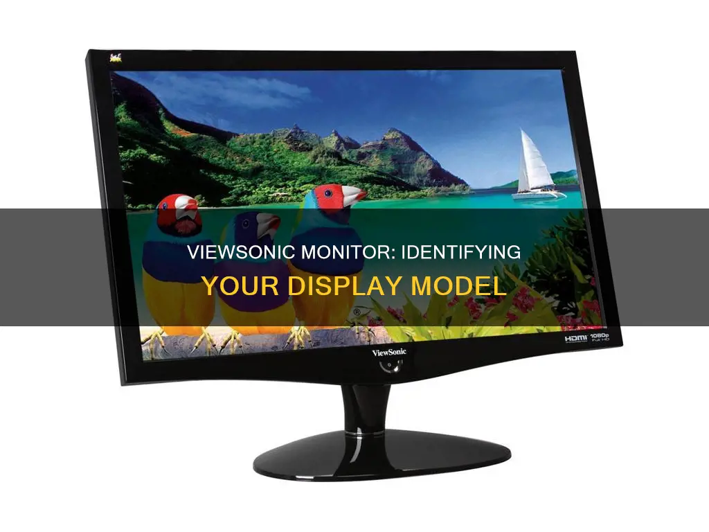 how to find out which viewsonic monitor i have