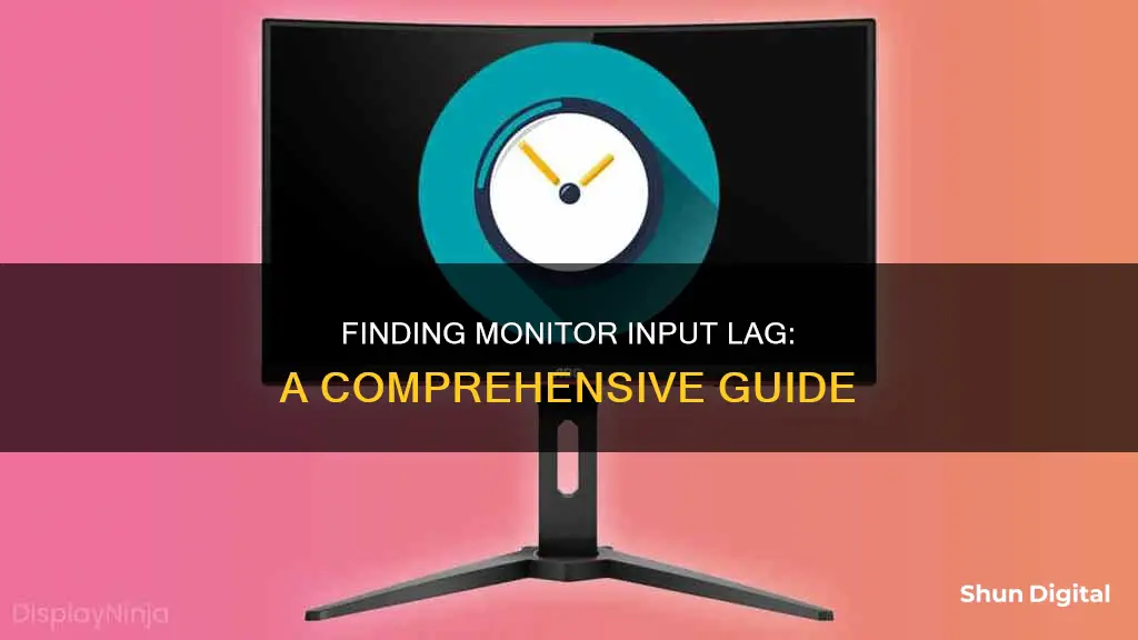 how to find the delay on your monitor