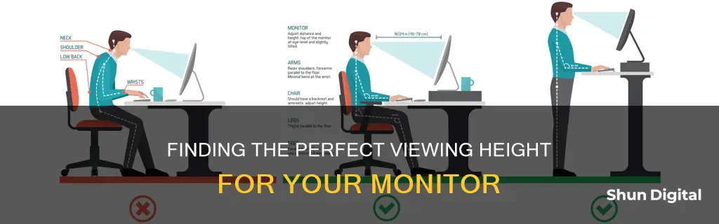 how to find the height of a monitor