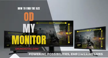 Finding the Right Monitor Fit: Size Matters