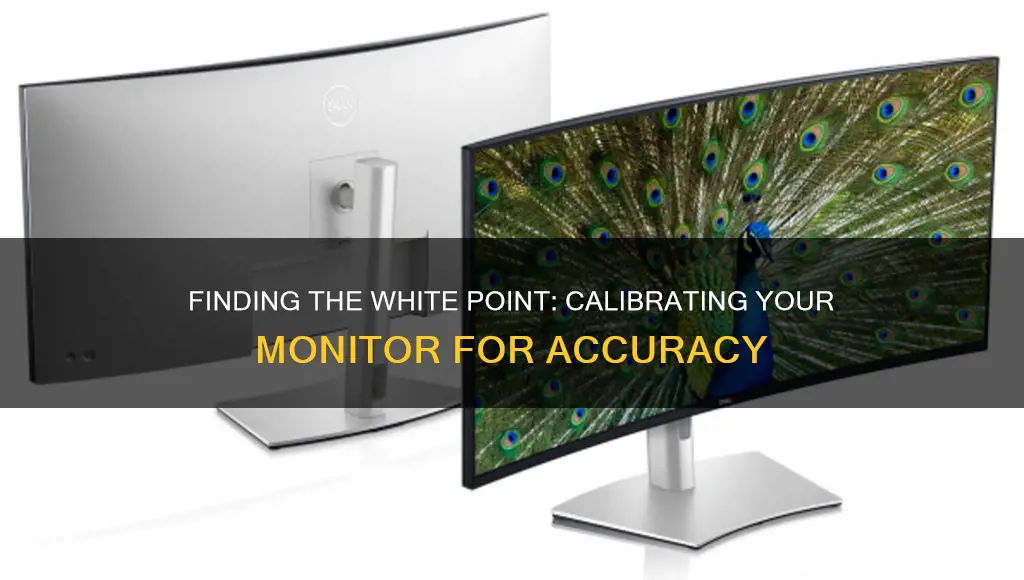 how to find white point monitor