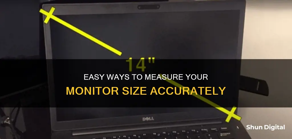 how to find yur monitor size