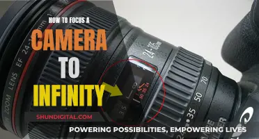 Focusing on Infinity: Camera Techniques for Stunning Landscape Shots