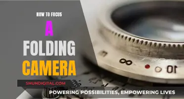 Focusing a Folding Camera: Tips for Sharp Shots