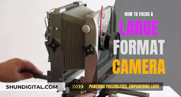 Mastering Large Format Camera Focus: Techniques for Sharp Images