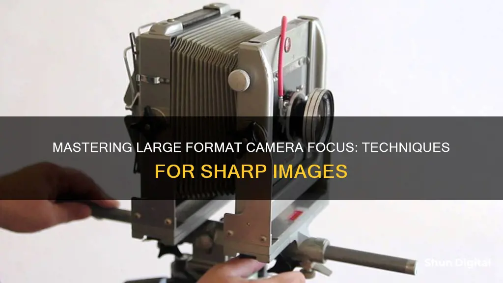 how to focus a large format camera