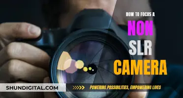 Focusing Non-SLR Cameras: Easy Tips for Sharp Shots