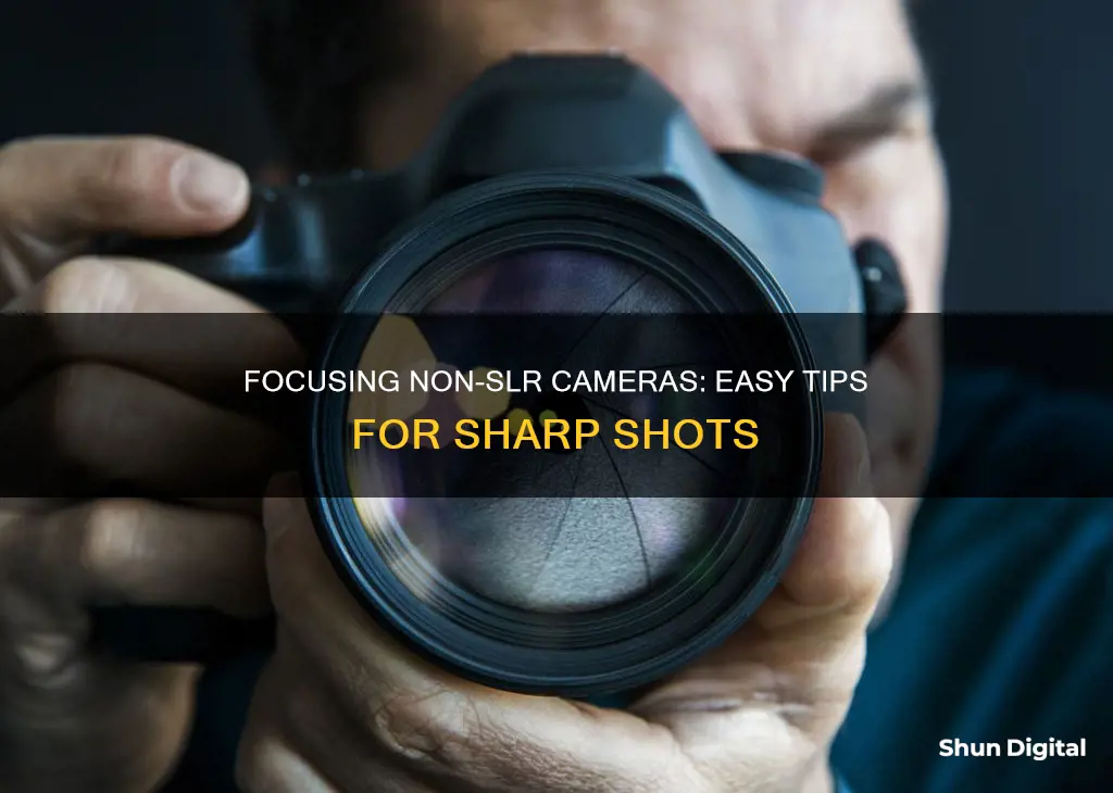 how to focus a non slr camera