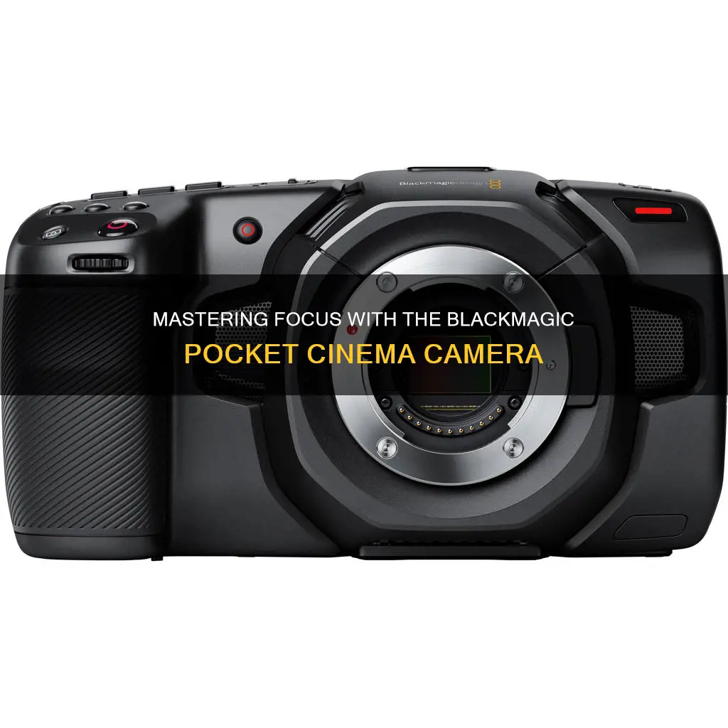 how to focus blackmagic pocket cinema camera