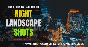 Focusing Night Landscapes: Camera Tricks for Stunning Shots