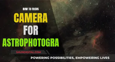 Focusing on the Stars: Astrophotography Camera Tips