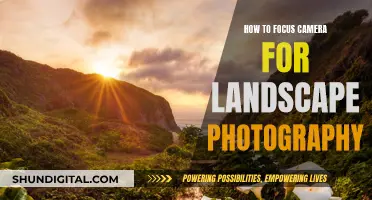 Mastering Landscape Photography: Focus Techniques for Stunning Shots