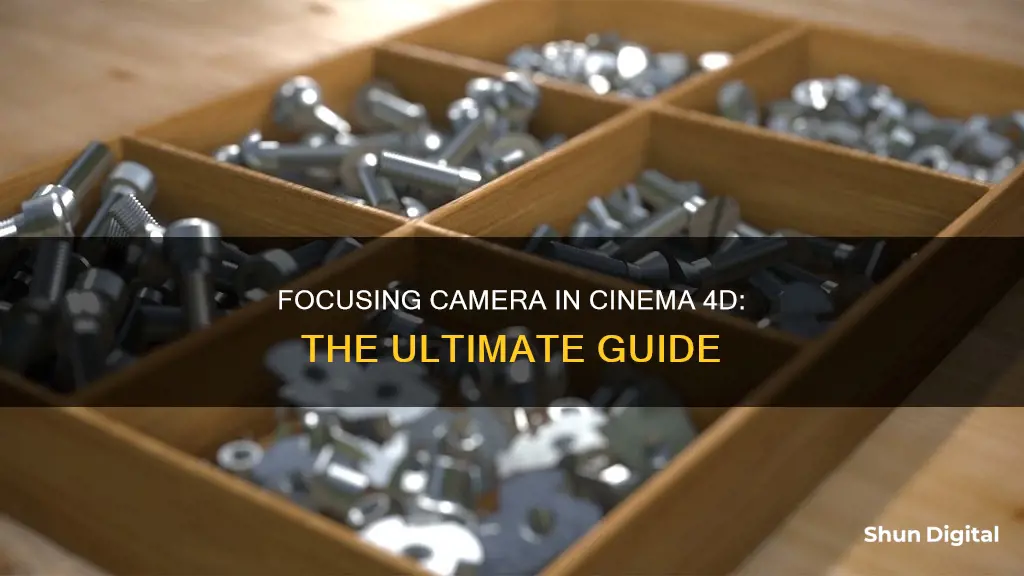 how to focus camera in cinema 4d