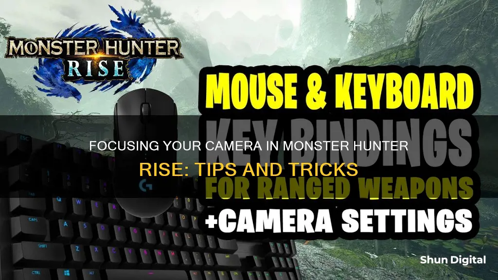 how to focus camera monster hunter rise