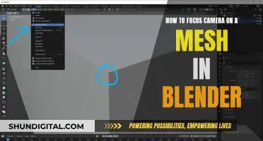 Focusing Camera on a Mesh in Blender: Easy Steps