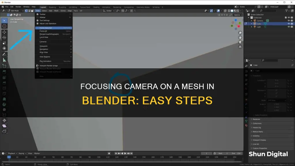 how to focus camera on a mesh in blender