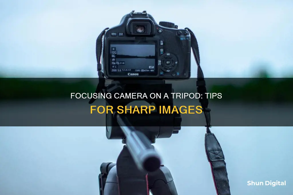 how to focus camera on tripod