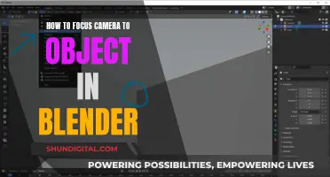 Focusing Camera on Objects in Blender: Easy Tips