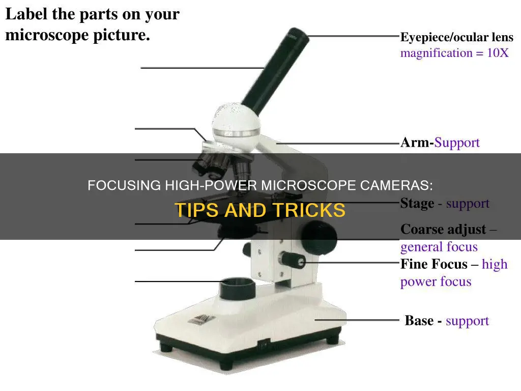 how to focus high power microscope camera