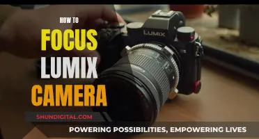 Focusing Your Lumix Camera: Tips for Sharp Shots