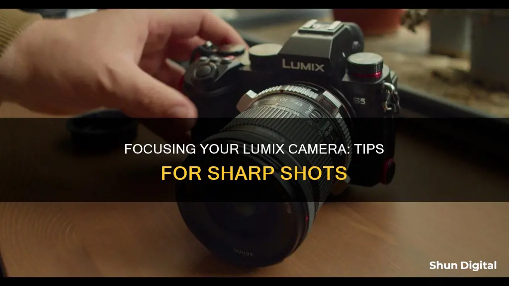 how to focus lumix camera