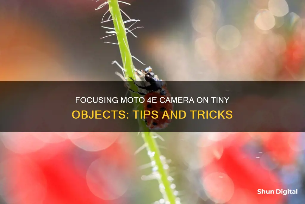 how to focus moto 4e camera on tiny object