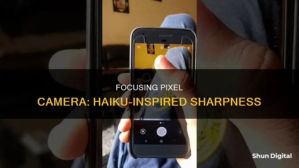 how to focus pixel camera with haiku