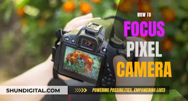 Mastering Pixel Camera Focus: Tips for Sharp Photos