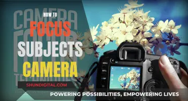 Focusing on Subjects: Camera Tips for Beginners