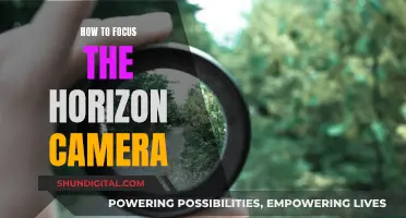 Focusing on the Horizon: Camera Tips for Beginners