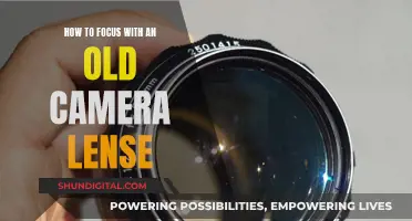 Focusing with Old Camera Lenses: A Creative Photography Guide