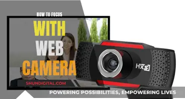 Focusing with Web Cameras: Tips for Improved Online Presence