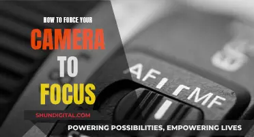 Mastering Manual Focus: Forcing Your Camera to Focus