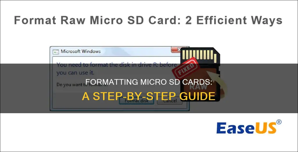 how to format raw micro sd from camera