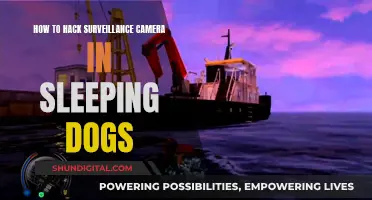 Hacking Surveillance Cameras: Sleeping Dogs Guide