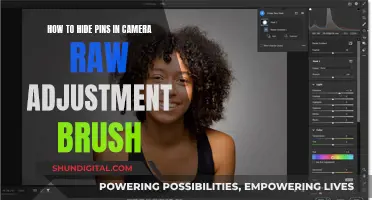 Mastering the Art of Hiding Pins in Camera Raw Adjustment Brush